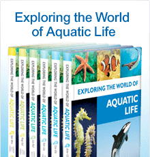 Exploring the World of Aquatic Life